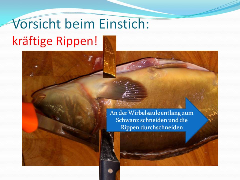 Fische verwerten/Folie03