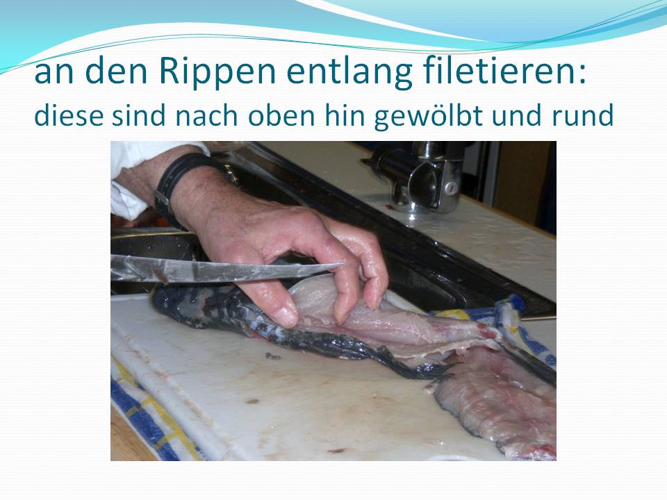 Fische verwerten/Folie20