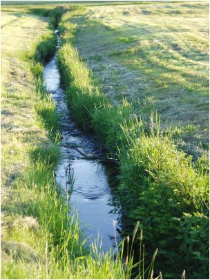 Natur_und_Umwelt/03_Biotopverbund.pdf