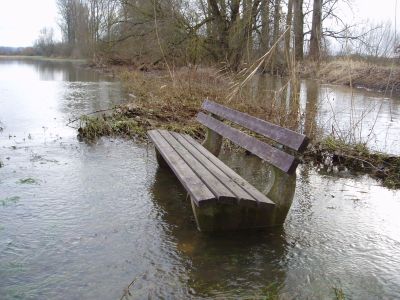 Natur_und_Umwelt/12_Bald_kein_Hochwasser_mehr_in_Bad_Saulgau.pdf