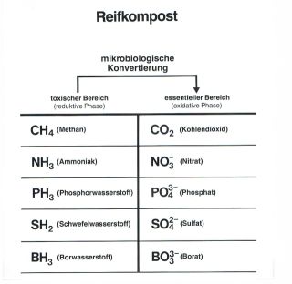 Natur_und_Umwelt/16_Komposterden.pdf